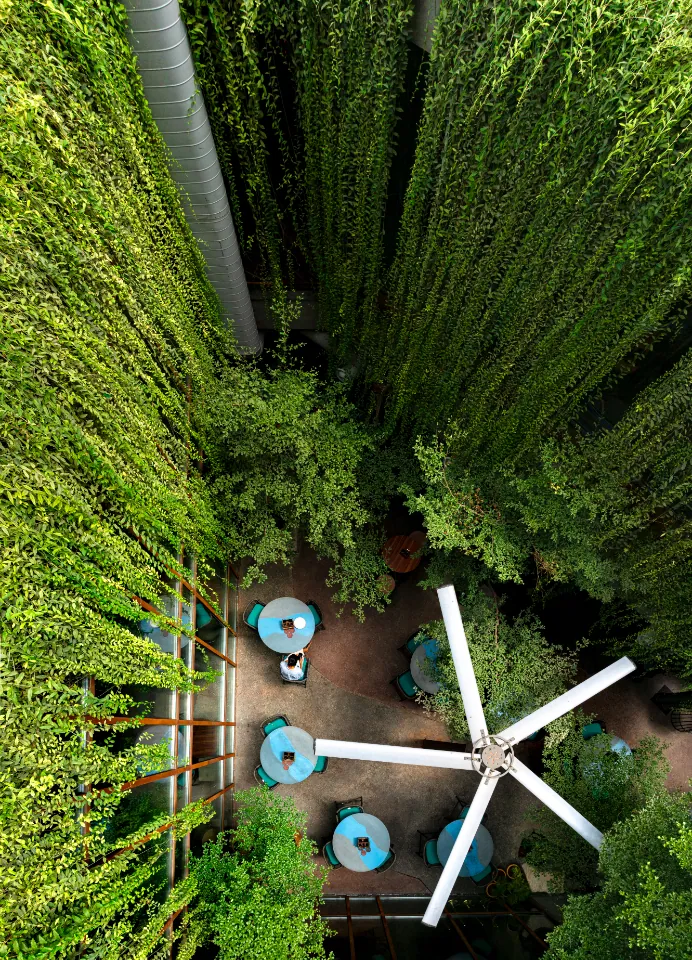 Looking straight down into a courtyard of tables framed by thick green walls and a ceiling fan.