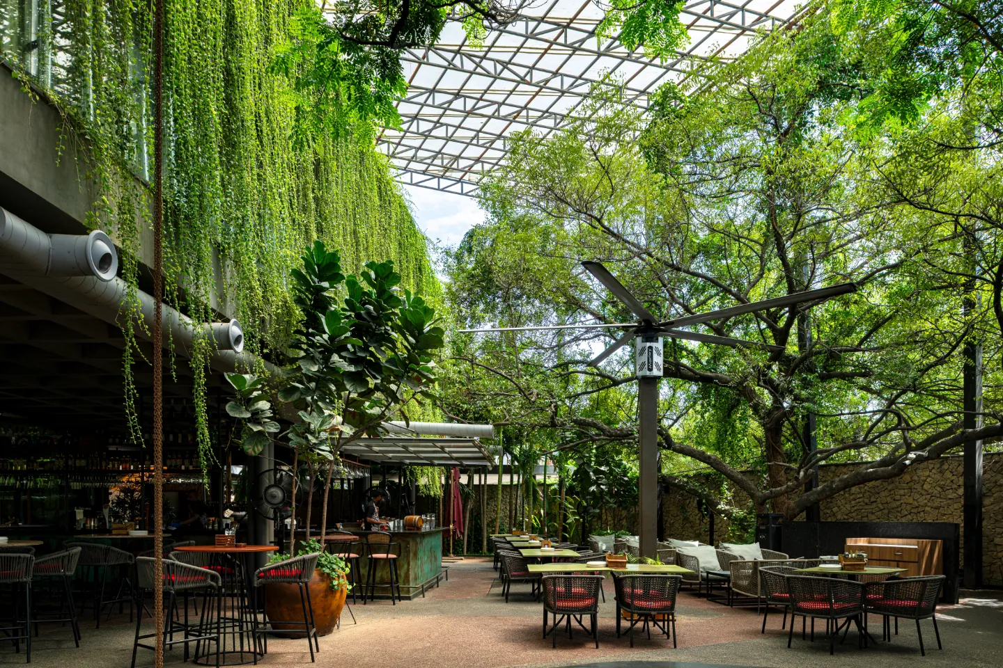 Curtains of creepers hang from a raised block above a courtyard of tables shaded by a great old tree.