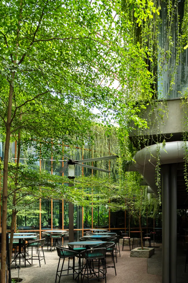 Tables under a tall wall of hanging creepers and young trees.