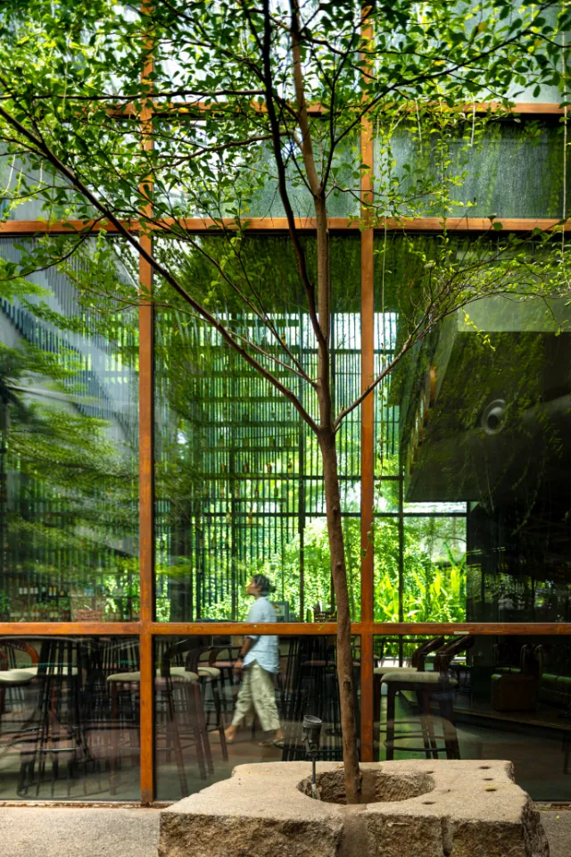 A young tree rises from a stone planter inside a steel and glass dining room.