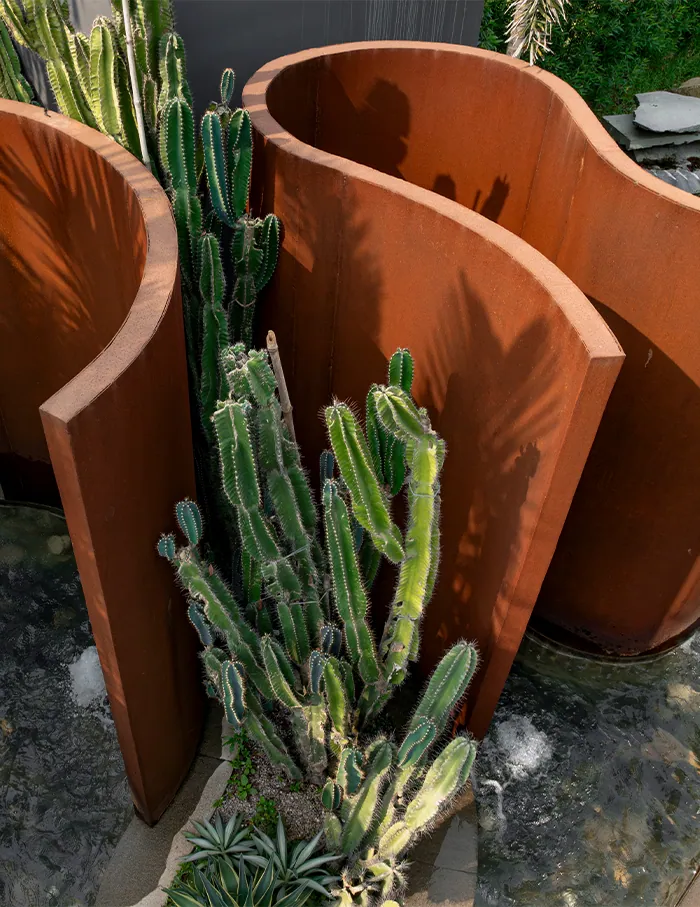 A tall columnar cactus stands inside the curve of a rusted corten planter.