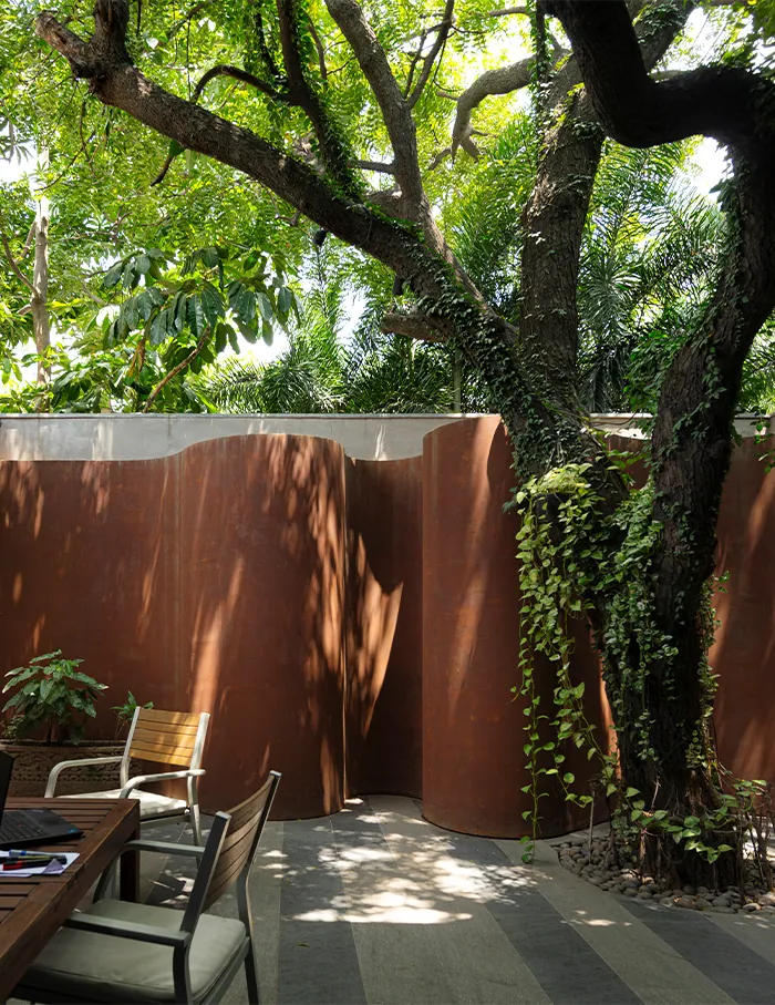 A spreading neem tree shades a curved corten wall and a pair of chairs in a small courtyard.