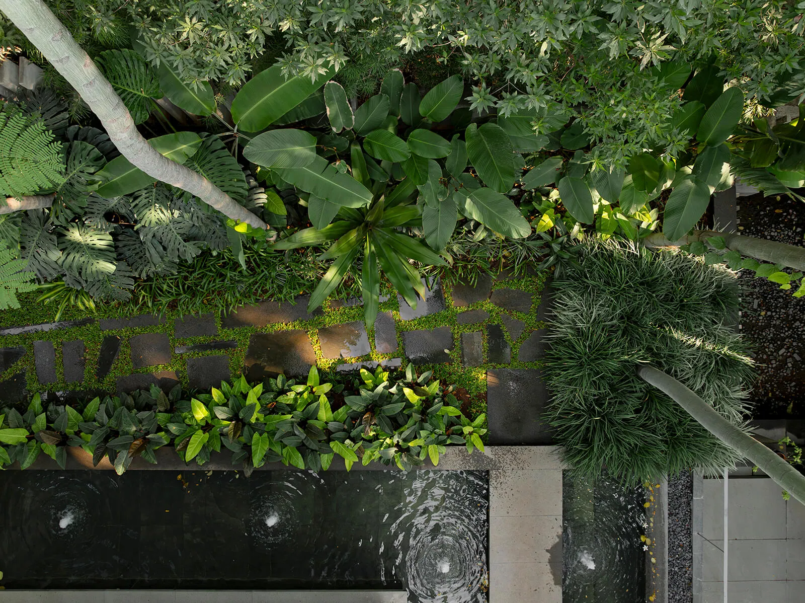 Looking straight down on lush planting, a water channel and a slim bench.