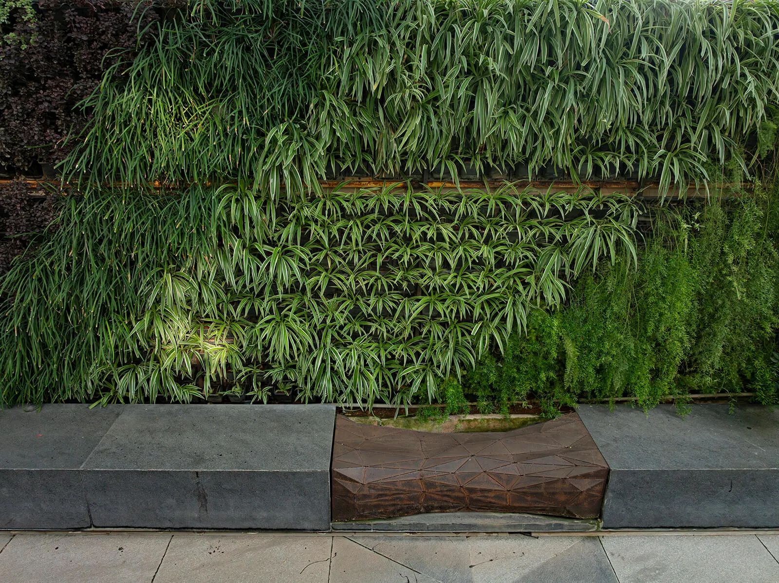 A tall green wall of ferns and grasses behind a stone and timber bench.