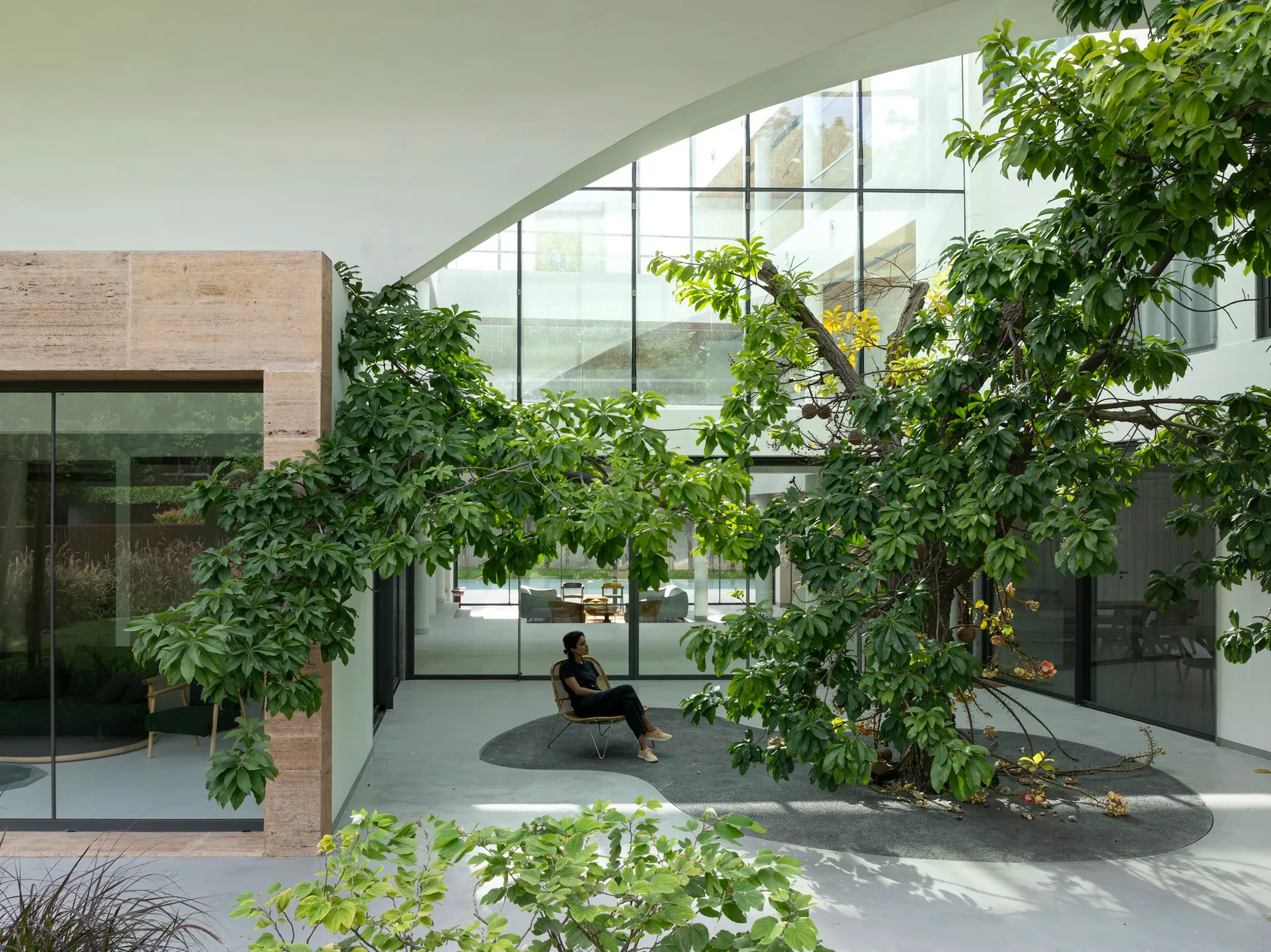 A person reads in a chair inside a glass-walled courtyard where a tree grows up through the house.